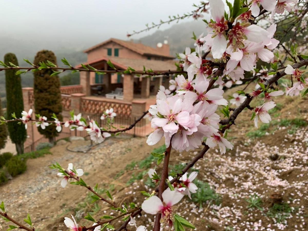 Guest house Ballus Tiana